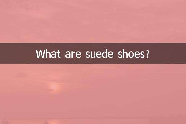 Was sind Wildlederschuhe?