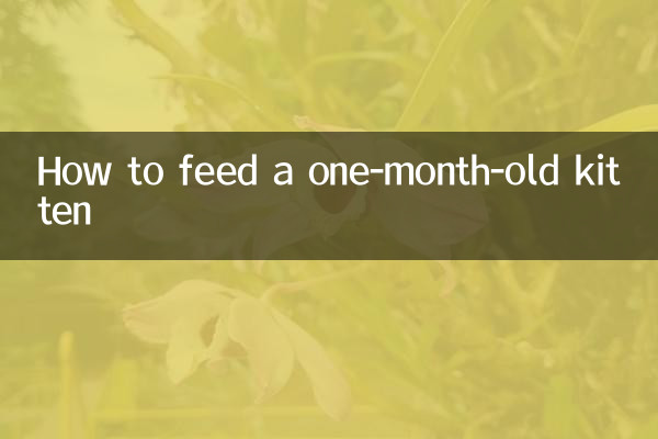 满月奶猫怎么喂