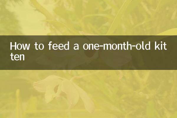 满月奶猫怎么喂