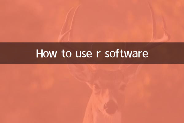 r软件怎么用