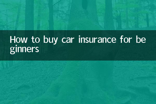 新手车险怎么买