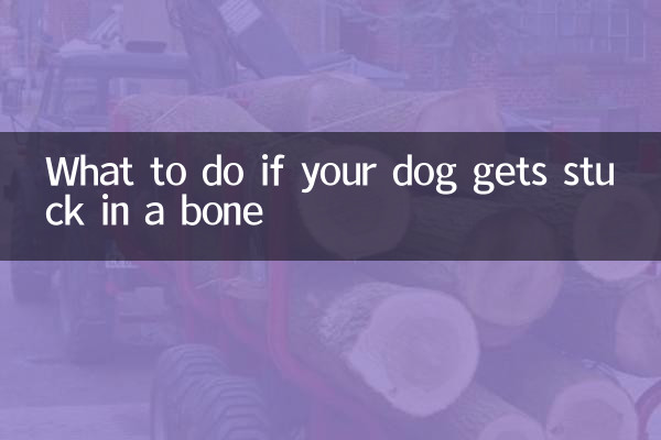 What to do if your dog gets stuck in a bone