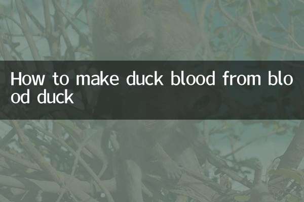 Comment faire du sang de canard à partir de sang de canard