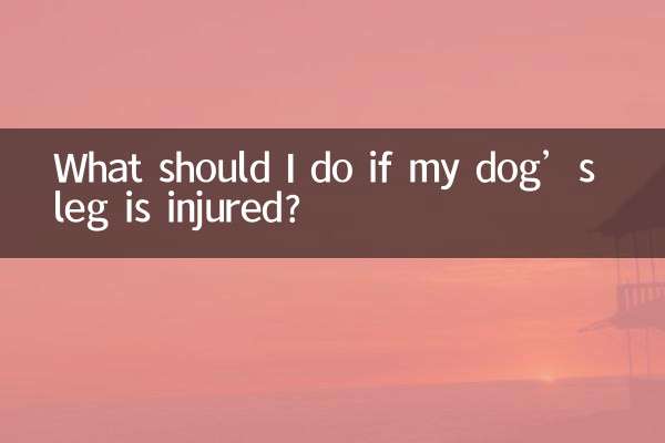 狗的腿受傷了怎麼辦