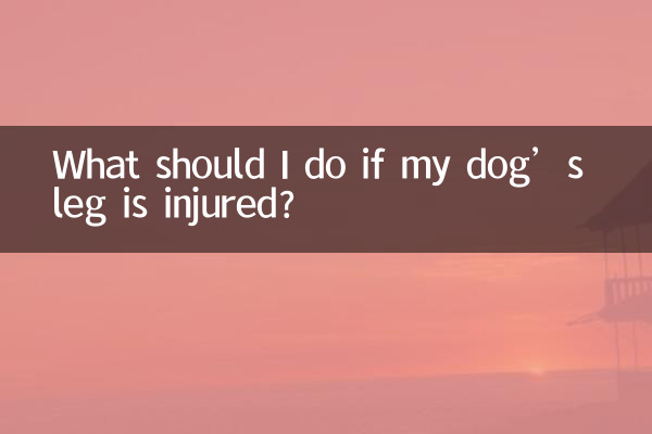 狗的腿受傷了怎麼辦