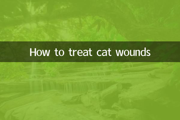 Comment soigner les blessures du chat