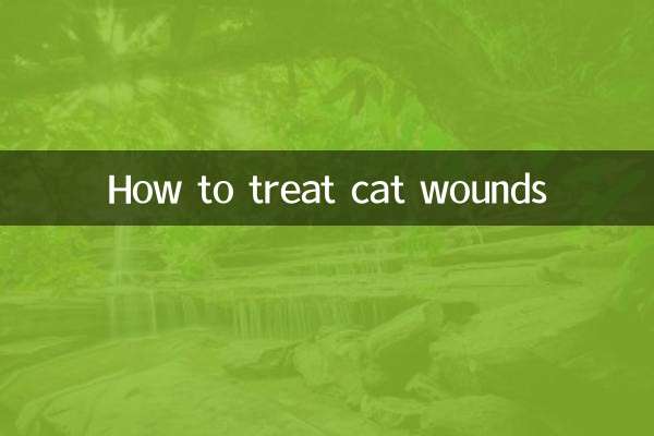 बिल्ली के घाव का इलाज कैसे करें