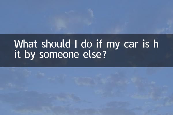 내 차가 다른 사람에 의해 충돌한 경우 어떻게 해야 합니까?