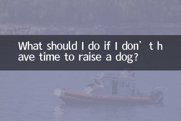 Что делать, если у меня нет времени воспитывать собаку?