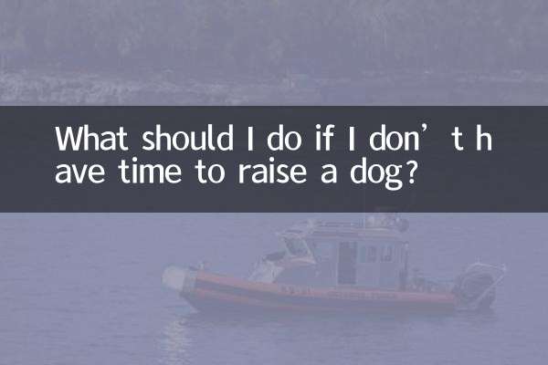 Que dois-je faire si je n’ai pas le temps d’élever un chien ?