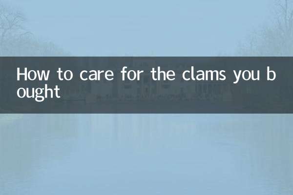 買ったハマグリのお手入れ方法