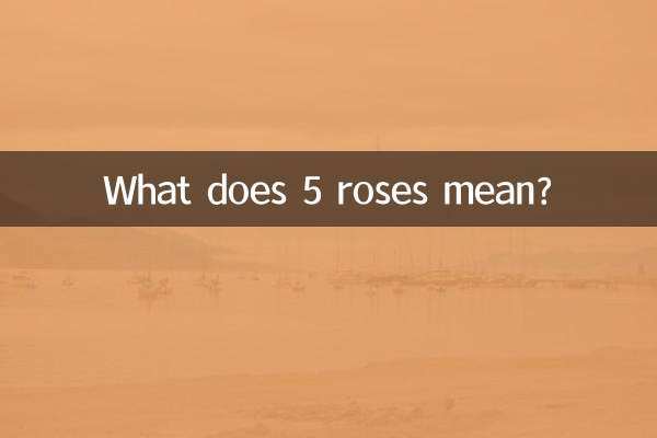 ¿Qué significan 5 rosas?