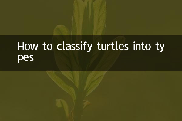 Comment classer les tortues en types