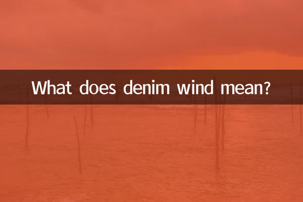 丹寧風是什麼意思