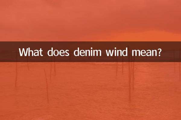 丹寧風是什麼意思