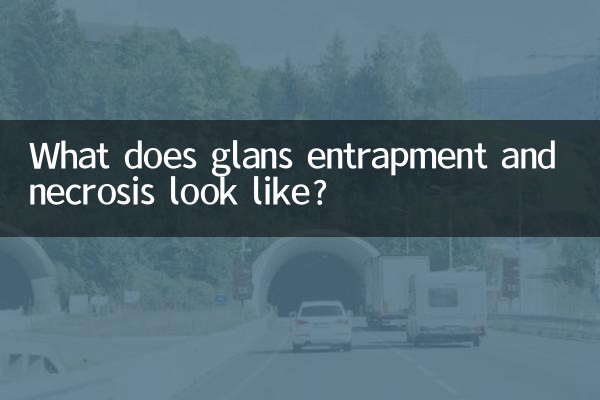 귀두 포착 및 괴사는 어떻게 생겼습니까?