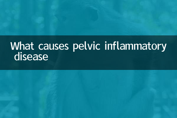 골반 염증성 질환의 원인