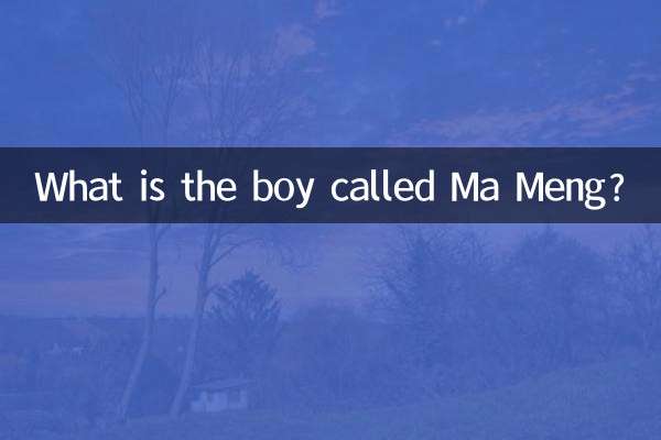 What is the boy called Ma Meng?