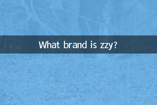 지(ZZY)는 어떤 브랜드인가요?