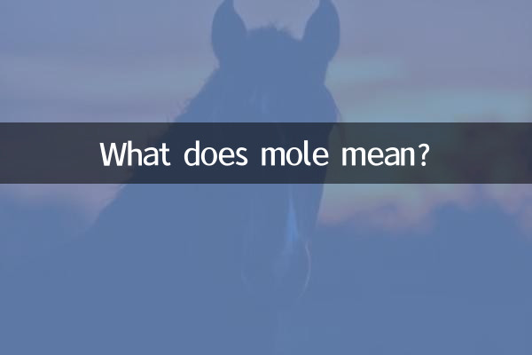 ¿Qué significa topo?