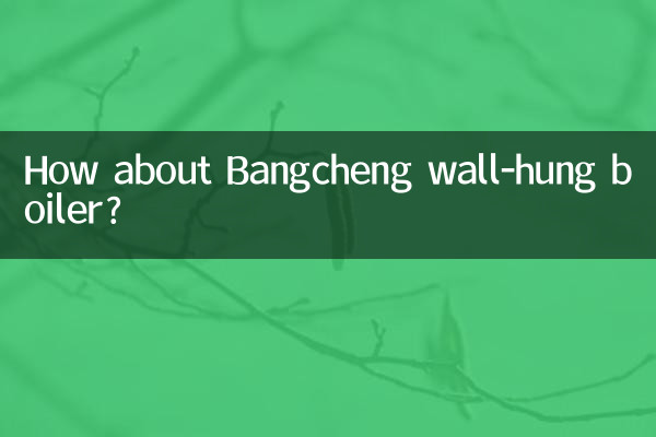 How about Bangcheng wall-hung boiler?