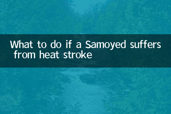 Что делать, если у самоеда случился тепловой удар