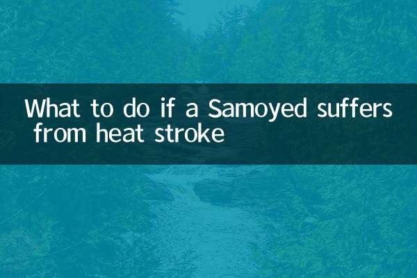 यदि कोई सामोयड हीट स्ट्रोक से पीड़ित हो तो क्या करें?