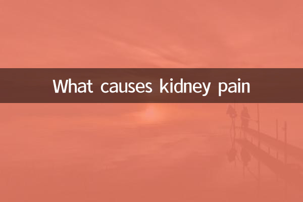 신장 통증의 원인