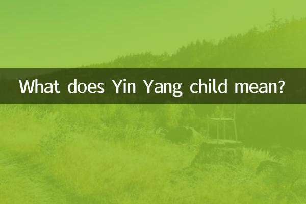 ¿Qué significa niño Yin Yang?