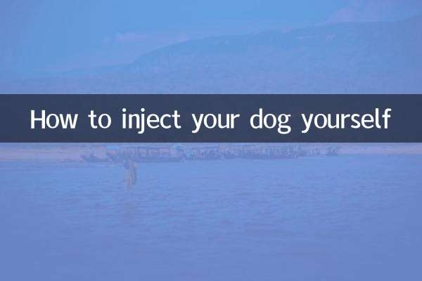 개에게 직접 주사하는 방법