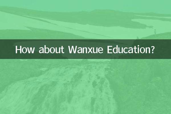 Que tal a Educação Wanxue?