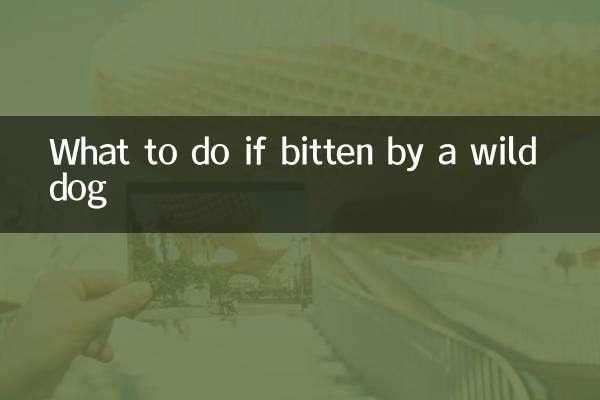 در صورت گاز گرفتن توسط سگ وحشی چه کنیم؟