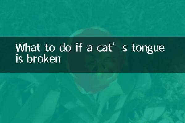 Que faire si la langue d'un chat est cassée