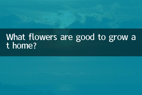 Welche Blumen lassen sich gut zu Hause anbauen?