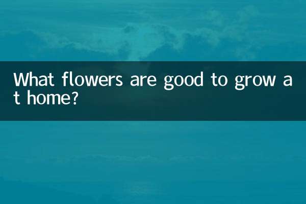 Welche Blumen lassen sich gut zu Hause anbauen?