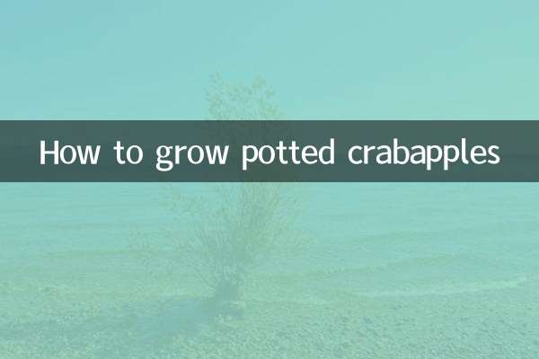 화분에 심은 크랩애플을 키우는 방법