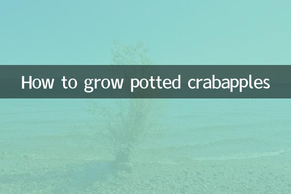 화분에 심은 크랩애플을 키우는 방법