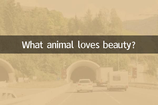 کدام حیوان زیبایی را دوست دارد؟