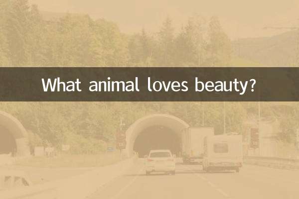 愛美的動物甚麼