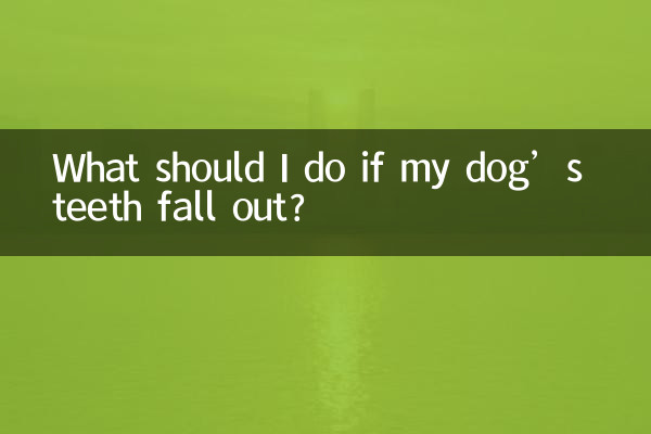 اگر میرے کتے کے دانت نکل جائیں تو مجھے کیا کرنا چاہئے؟