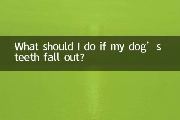What should I do if my dog’s teeth fall out?