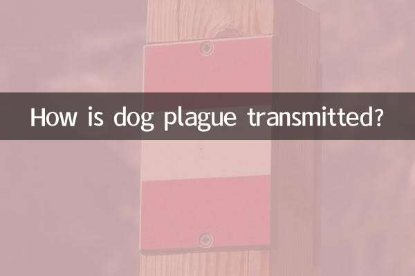Wie wird die Hundepest übertragen?