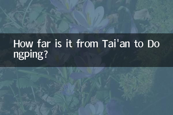تائیوان سے ڈونگپنگ تک کتنا دور ہے؟