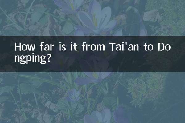 تائیوان سے ڈونگپنگ تک کتنا دور ہے؟
