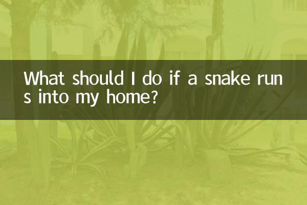 What should I do if a snake runs into my home?