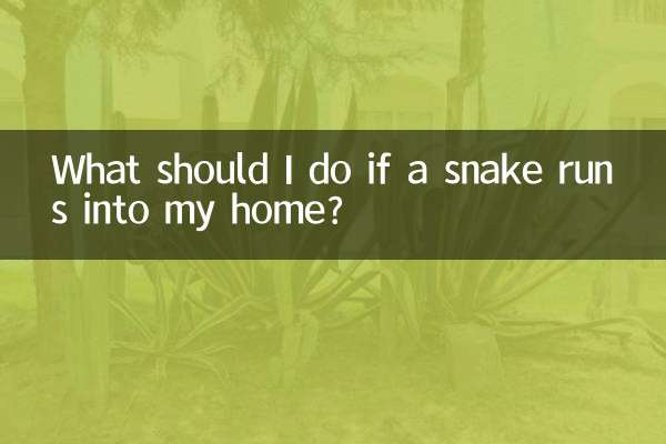 What should I do if a snake runs into my home?