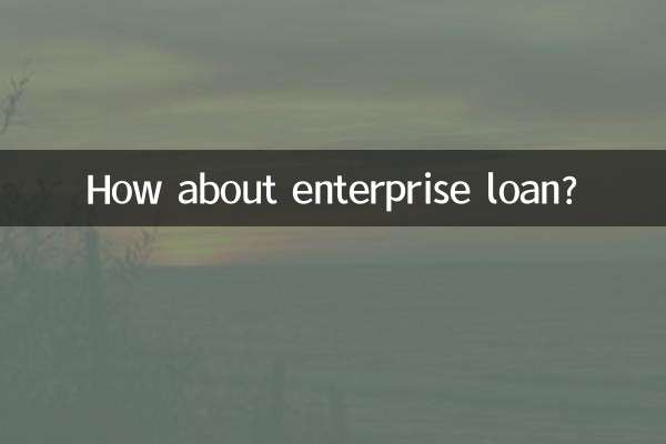 How about enterprise loan?