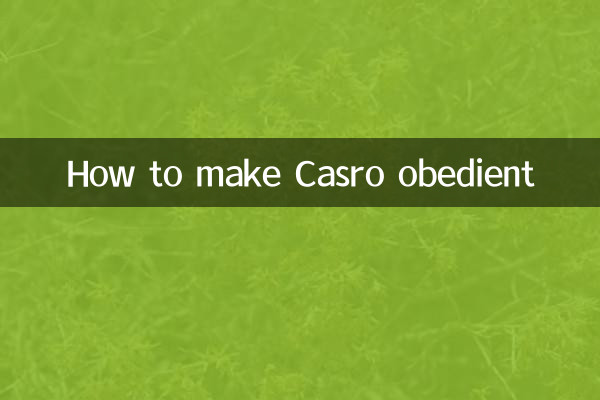 Comment rendre le casro obéissant