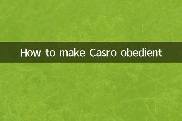 Comment rendre le casro obéissant