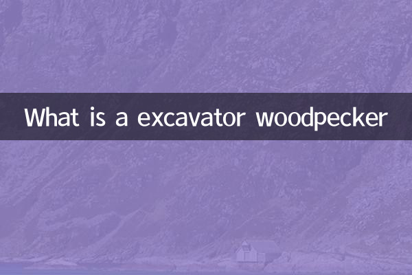 Qu'est-ce qu'un pic d'excavateur